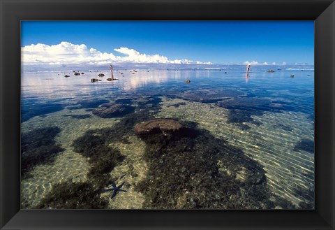 Framed Tourists and Starfish in Rock Pools, Tambua Sands Resort, Coral Coast, Fiji Print