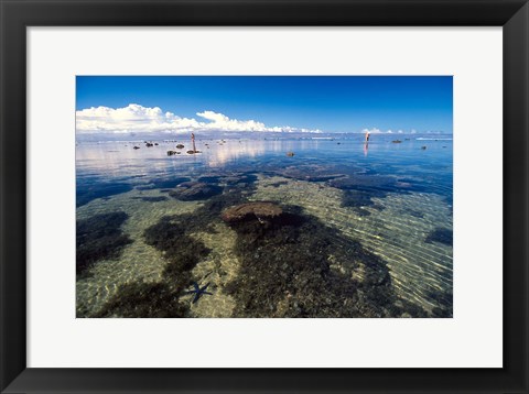 Framed Tourists and Starfish in Rock Pools, Tambua Sands Resort, Coral Coast, Fiji Print