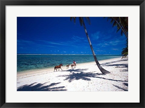 Framed Horses on Beach, Tambua Sands Resort, Coral Coast, Fiji Print