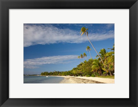 Framed Beach and palm trees, Plantation Island Resort, Fiji Print