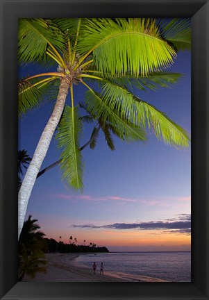 Framed Palm trees and sunset, Plantation Island Resort, Fiji Print