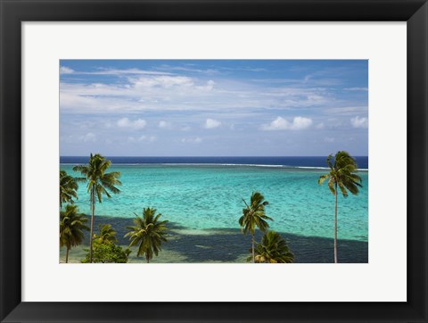 Framed Palm trees and coral reef, Crusoe&#39;s Retreat, Coral Coast, Viti Levu, Fiji Print