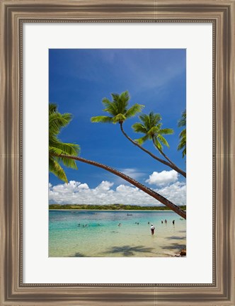 Framed Palm trees, Shangri-La Fijian Resort, Yanuca Island, Coral Coast, Viti Levu, Fiji Print