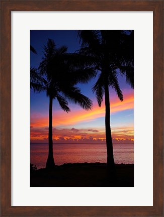 Framed Sunset and palm trees, Coral Coast, Viti Levu, Fiji Print