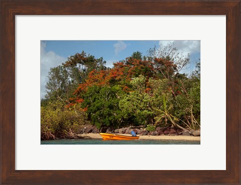 Framed Christmas Tree and Orange Skiff, Turtle Island, Yasawa Islands, Fiji Print
