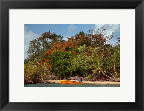 Framed Christmas Tree and Orange Skiff, Turtle Island, Yasawa Islands, Fiji Print