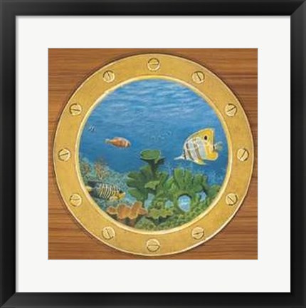 Framed Andrea Del missier - Coral Reef Size 19.75x23.75 Print