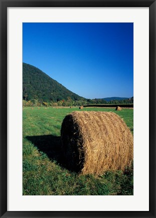 Framed Hay Bales in Litchfield Hills, Connecticut Print