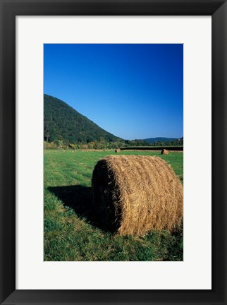 Framed Hay Bales in Litchfield Hills, Connecticut Print