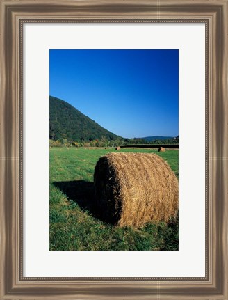 Framed Hay Bales in Litchfield Hills, Connecticut Print