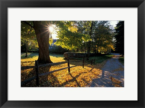 Framed Yard of the Main House on Henderson Property in Litchfield Hills, New Milford, Connecticut Print