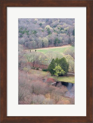 Framed Spring Forest in East Haddam, Connecticut Print