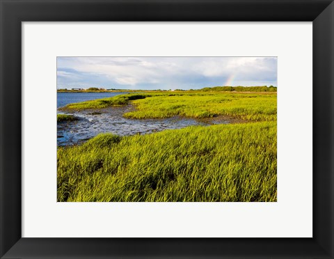 Framed Salt Marsh side of Long Beach,  Stratford, Connecticut Print