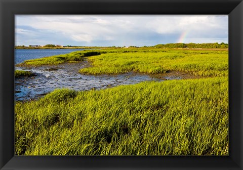 Framed Salt Marsh side of Long Beach,  Stratford, Connecticut Print