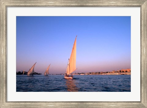 Framed Beautiful Sailboats Riding Along the Nile River, Cairo, Egypt Print