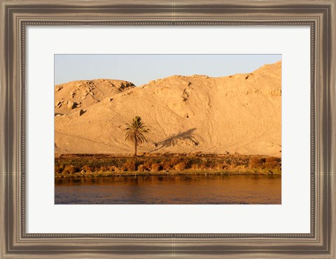 Framed Palm Tree on the Bank of the Nile River, Egypt Print