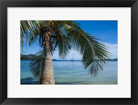 Framed Palm tree over clear waters around Nanuya Lailai Island, Blue Lagoon, Yasawa, Fiji, South Pacific Print