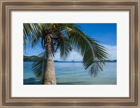 Framed Palm tree over clear waters around Nanuya Lailai Island, Blue Lagoon, Yasawa, Fiji, South Pacific Print