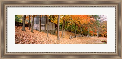 Framed Trees On A Hill, Connecticut Print