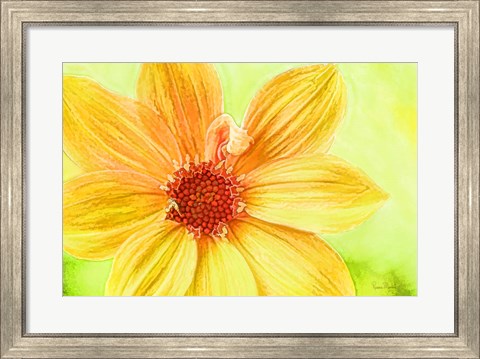 Framed Daisy Love Print