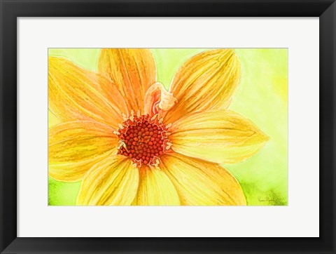 Framed Daisy Love Print