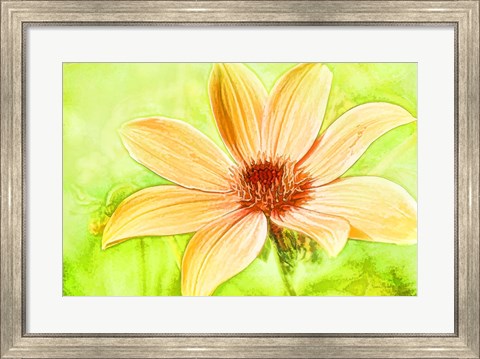 Framed Daisy Sunshine Print