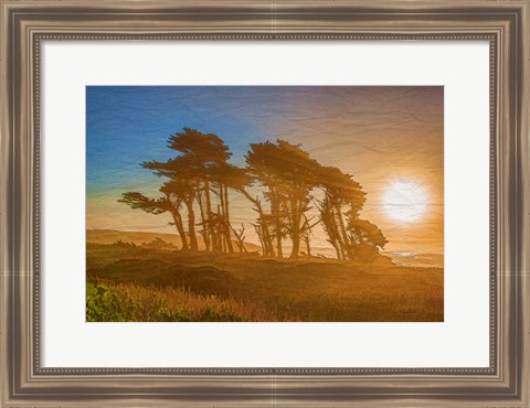 Framed Beach Trees Print