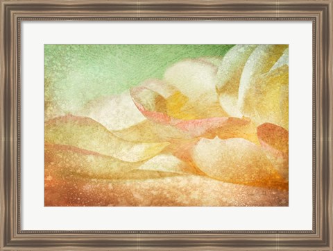 Framed Petals Galore Print