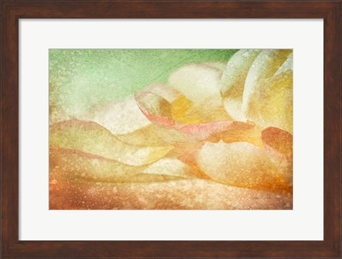 Framed Petals Galore Print