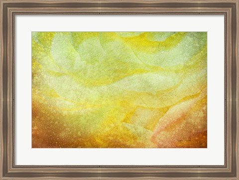 Framed Subtle Petals Print