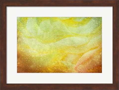 Framed Subtle Petals Print