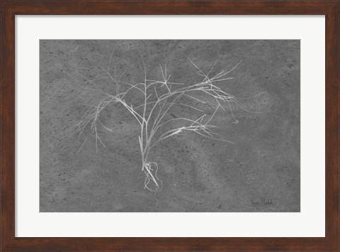 Framed Twiggy Algae Silver on Black Print