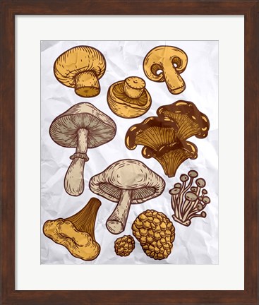 Framed Mushroom Variation Print