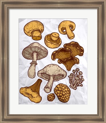 Framed Mushroom Variation Print