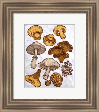 Framed Mushroom Variation Print