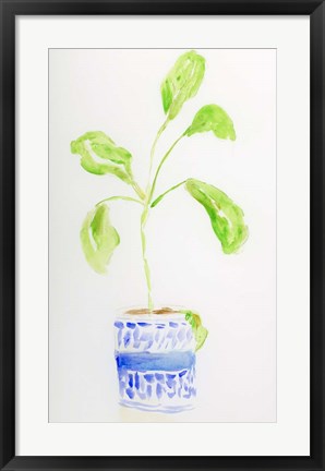 Framed Blue and White Botanical II Print