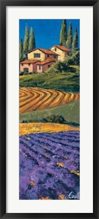 Framed Casale Fra I Cipressi Print