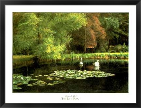 Framed Lily Pond Print