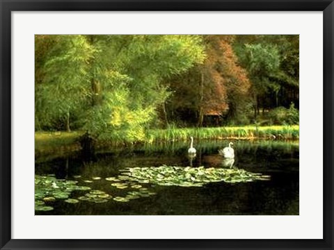 Framed Lily Pond Print