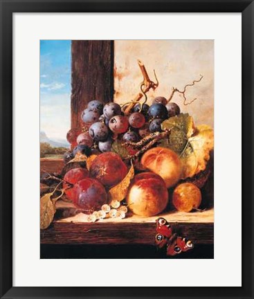 Framed Plums Peaches Grapes &amp; a Butterfly Print