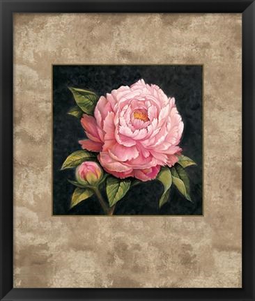 Framed Pink Peony Print