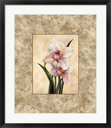 Framed Perfection II Print