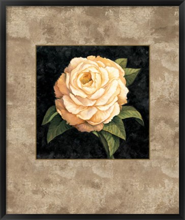 Framed Yellow Peony Print