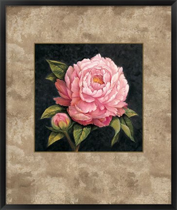 Framed Pink Peony Print