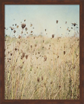 Framed Falling Queen Annes Lace II Crop Print