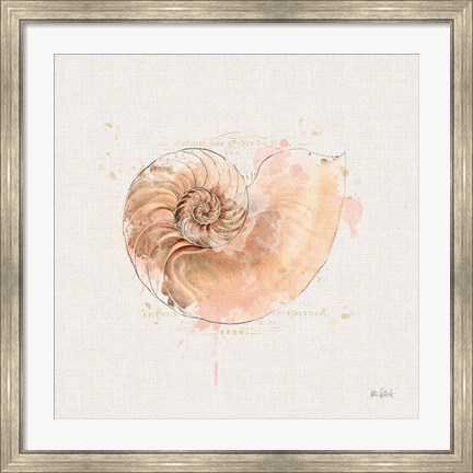 Framed Shell Collector II Print