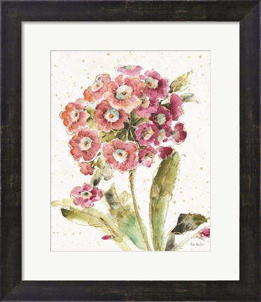 Framed Country Bloom II Print