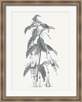 Framed Neutral Botanical I Print