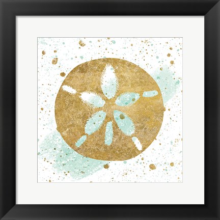 Framed Silver Sea Life Aqua Sanddollar Print