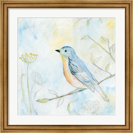 Framed Sketched Songbird II Print